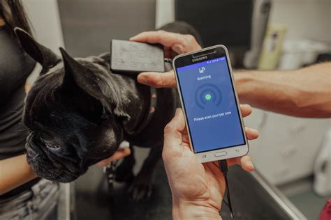 can you track your dog with a rfid|dog tracking chip.